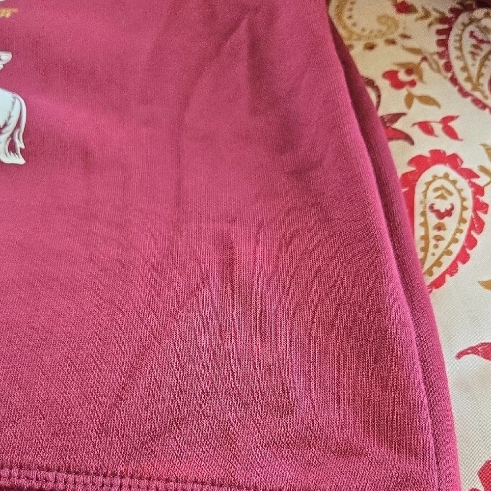 H&M Burgundy Harry Potter Hogwarts Four House Mascots Pullover Sweatshirt